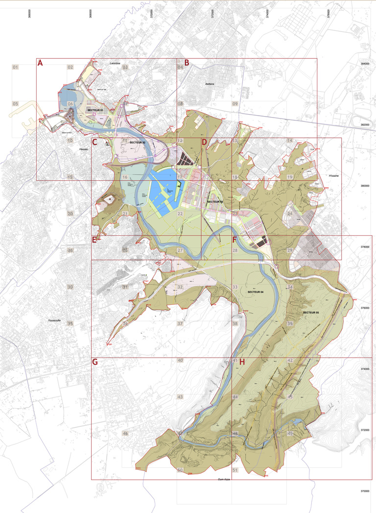 Carta - Reichen et Robert Associés - PLAN D'ENSEMBLE 20 000ä.jpg